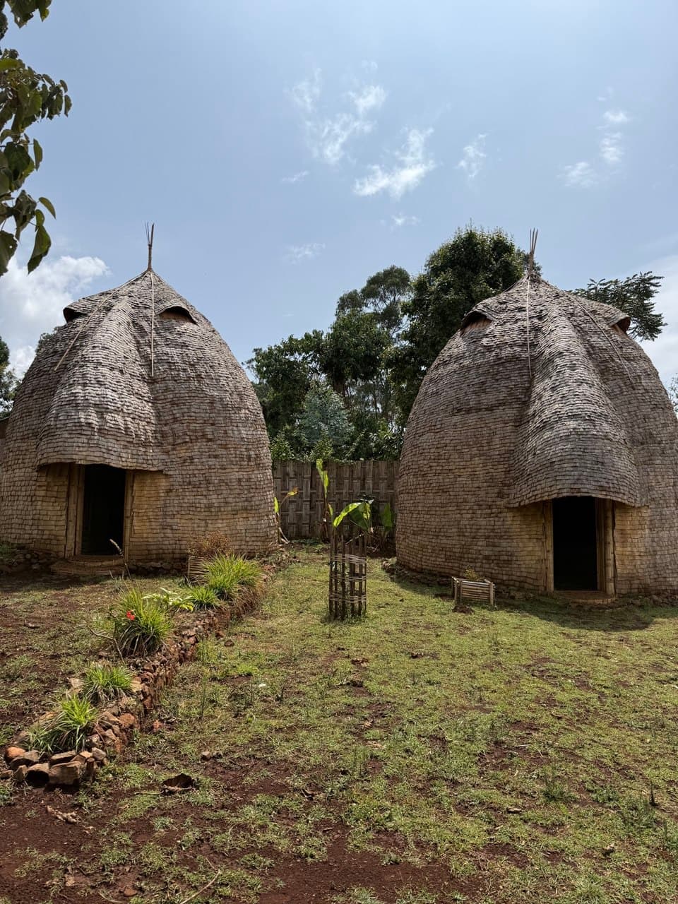 Terms and Conditions